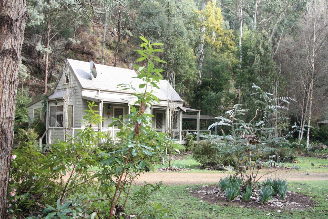 Shady Brook Cottages Harrietville Buitenkant foto