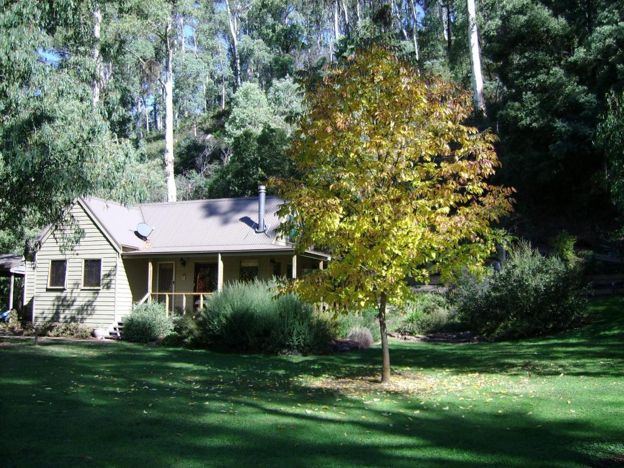 Shady Brook Cottages Harrietville Buitenkant foto
